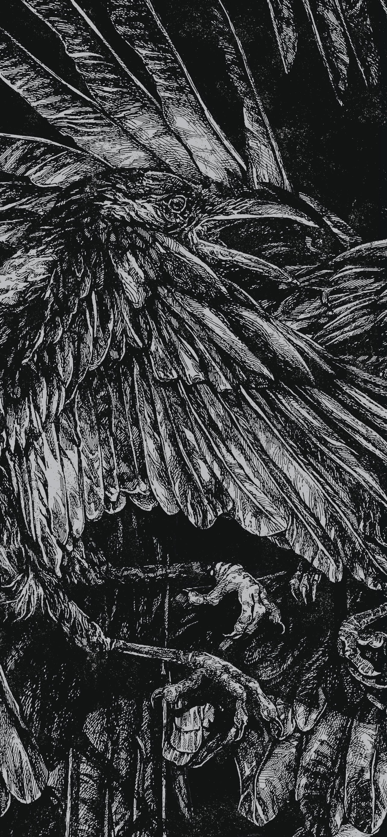 Wallpaper Wednesday #2