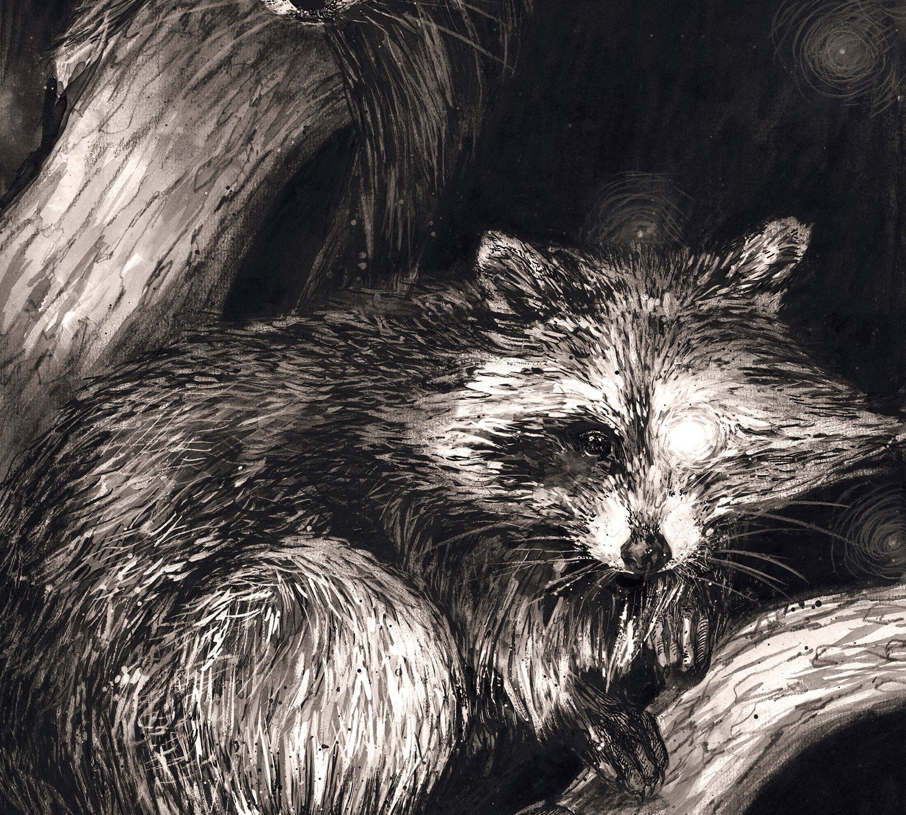 Behind the Art: Wraith Raccoons