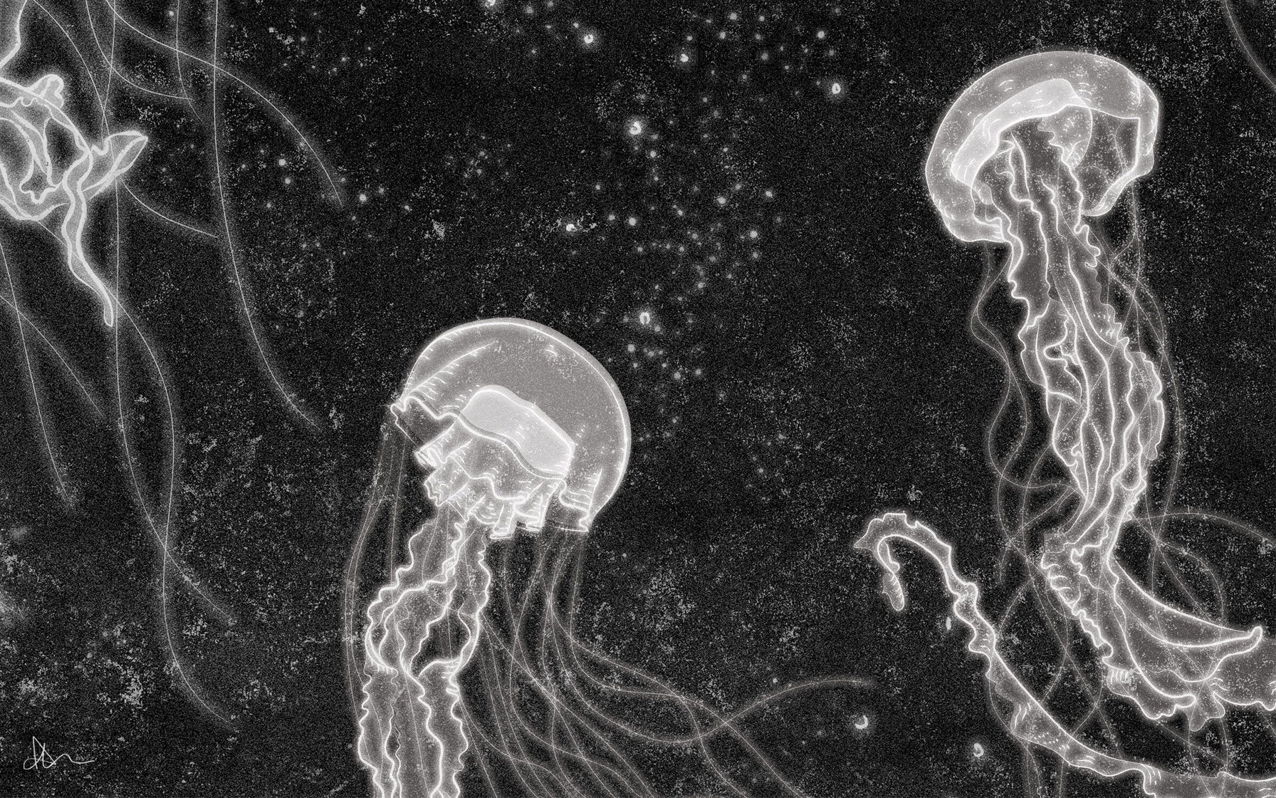 Wallpaper Wednesday #1