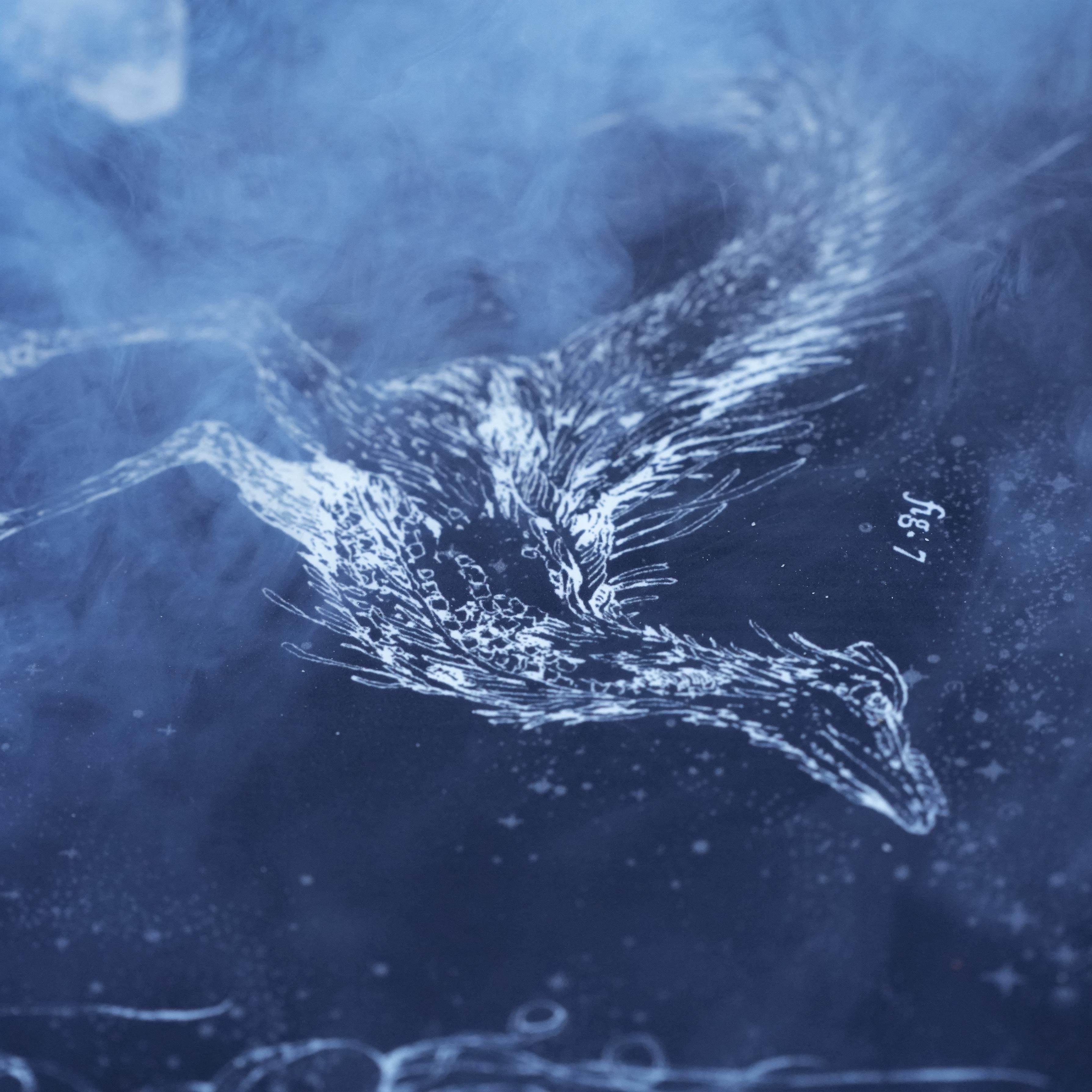 niche nightshade mutants graphic detail