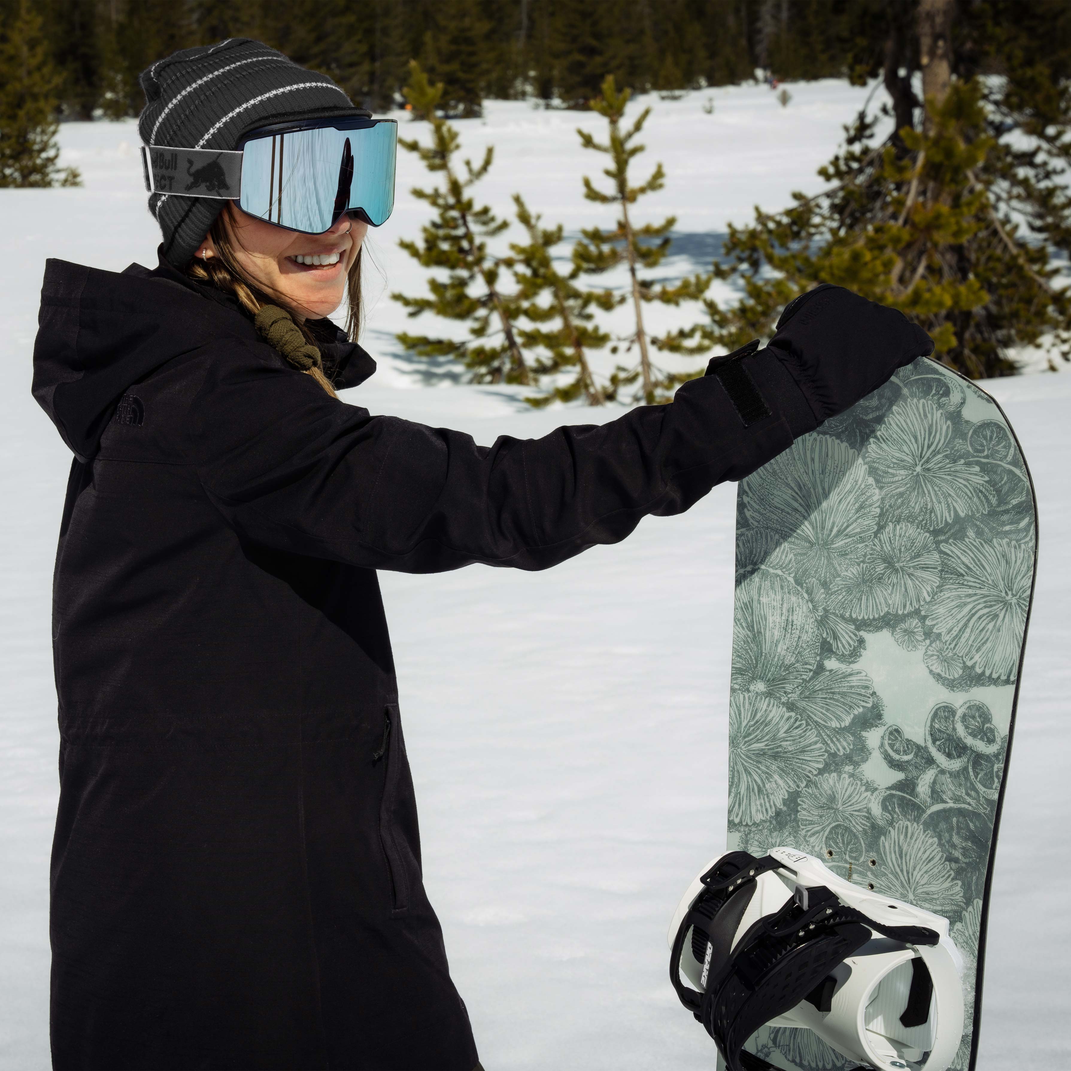 niche sonnet snowboard mycelium lifestyle image