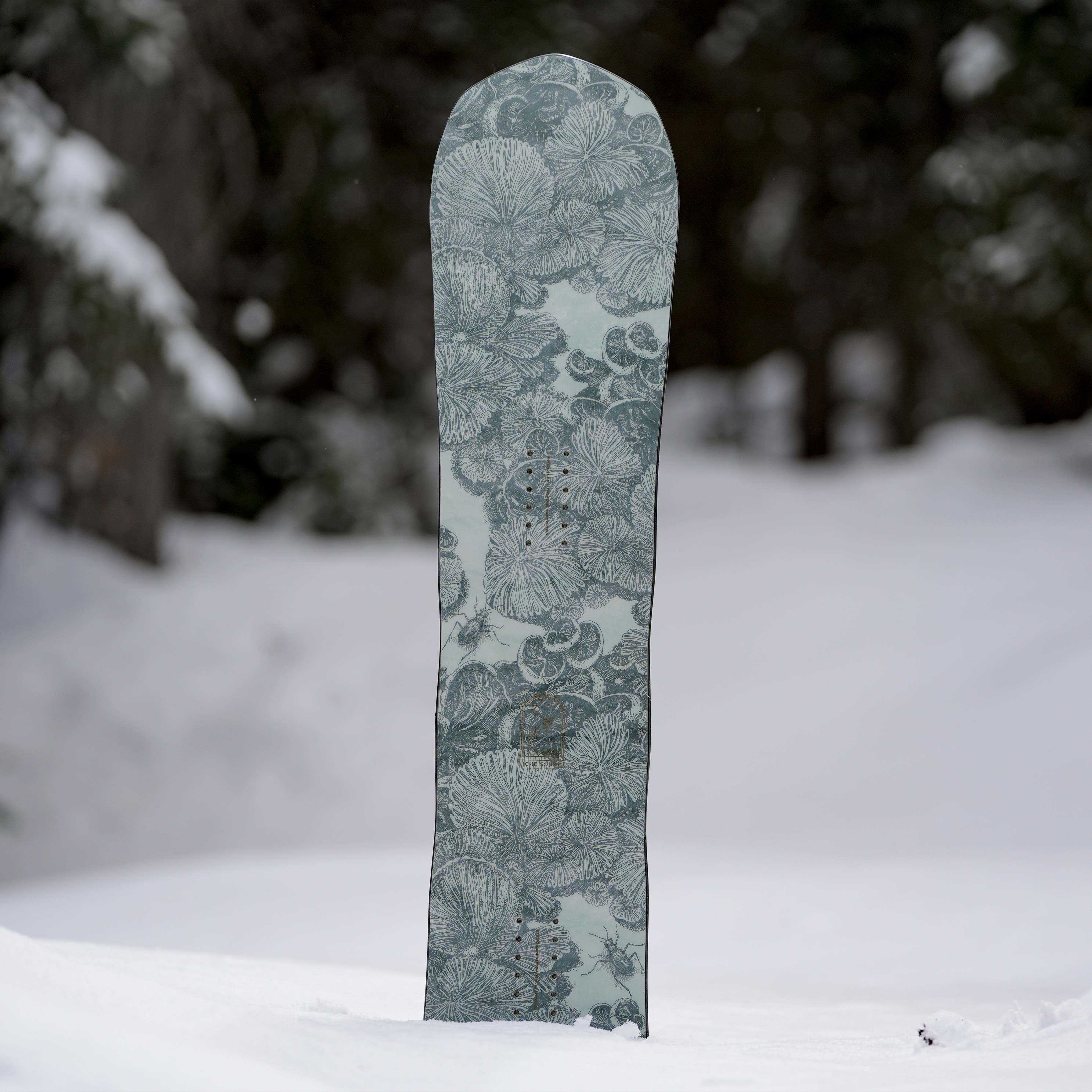 niche sonnet snowboard mycelium graphic detail