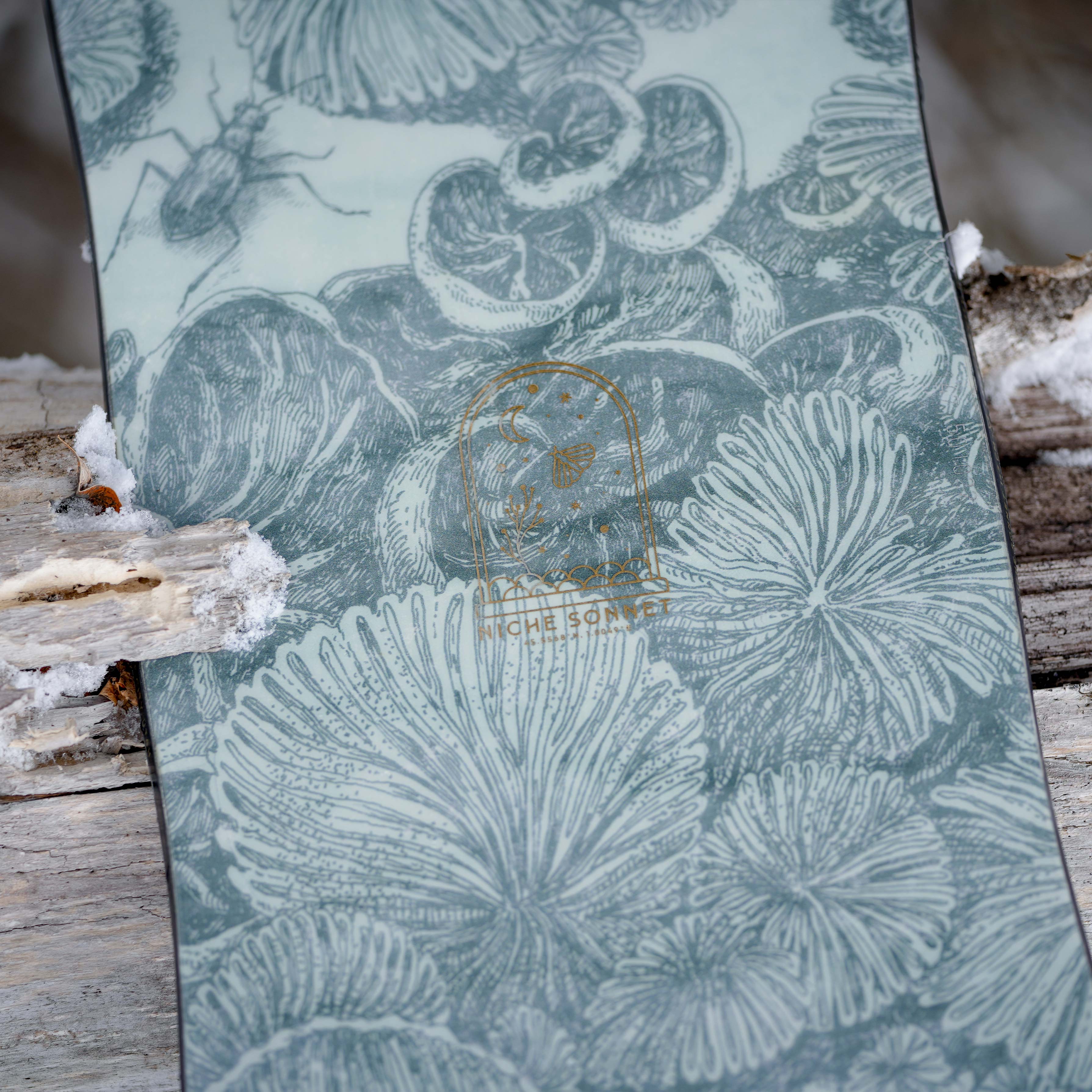 niche sonnet snowboard mycelium graphic detail