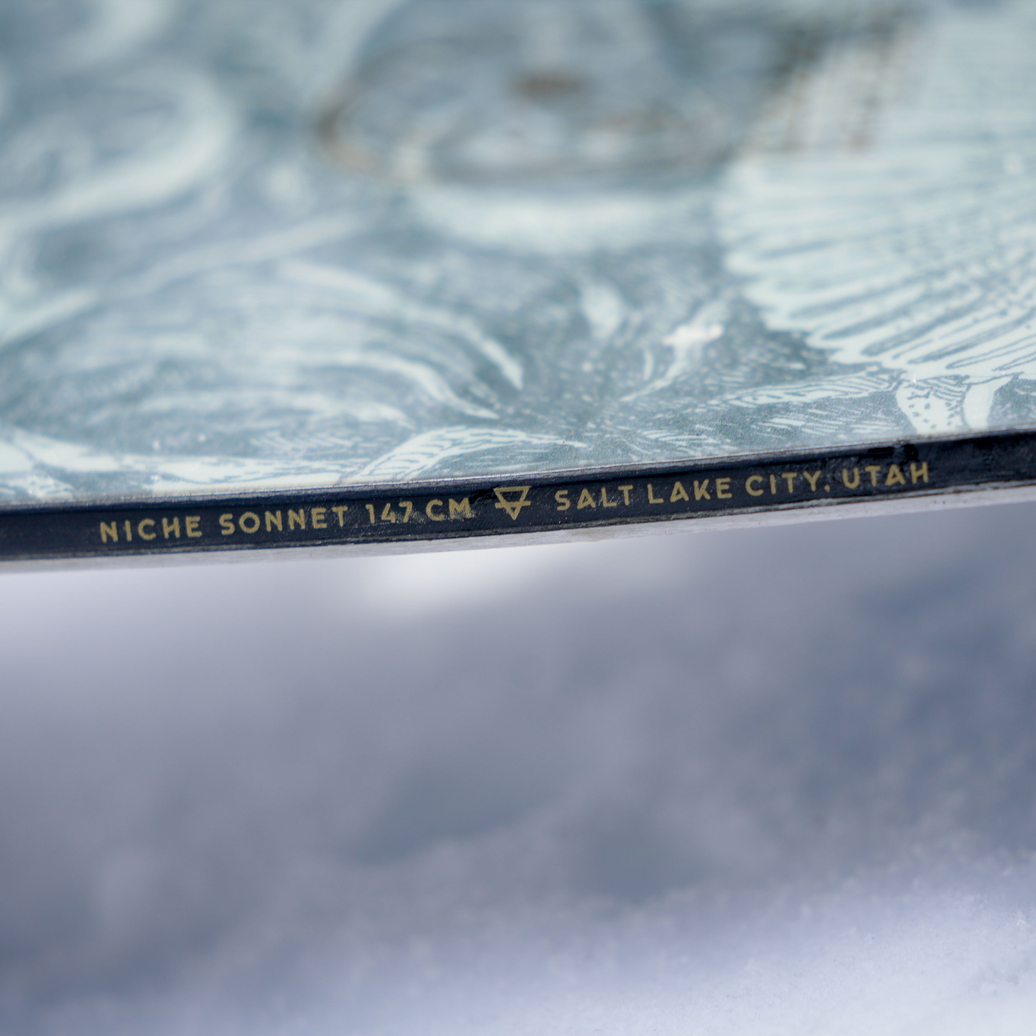 niche sonnet snowboard mycelium graphic detail