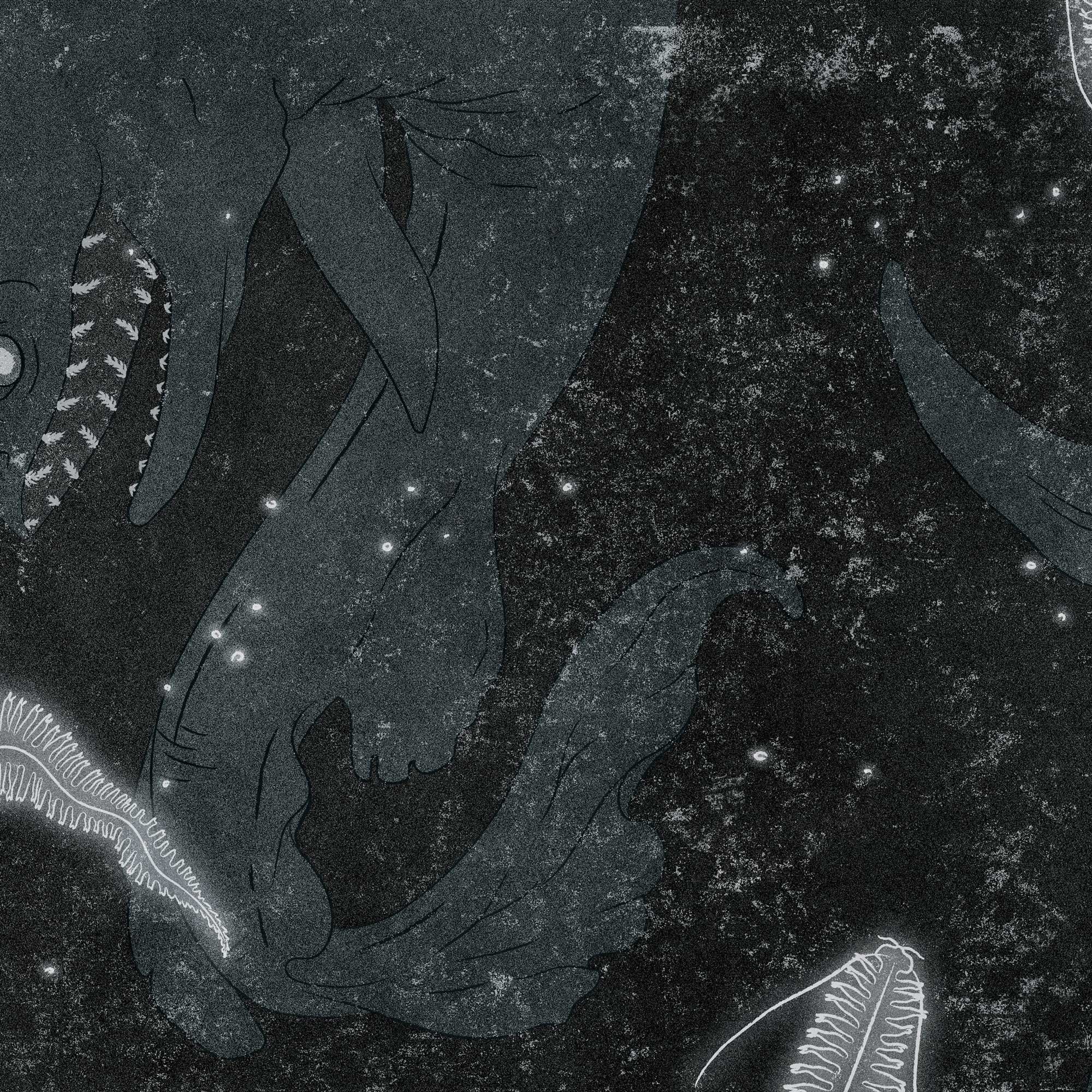 niche wraith snowboard deepsea graphic detail