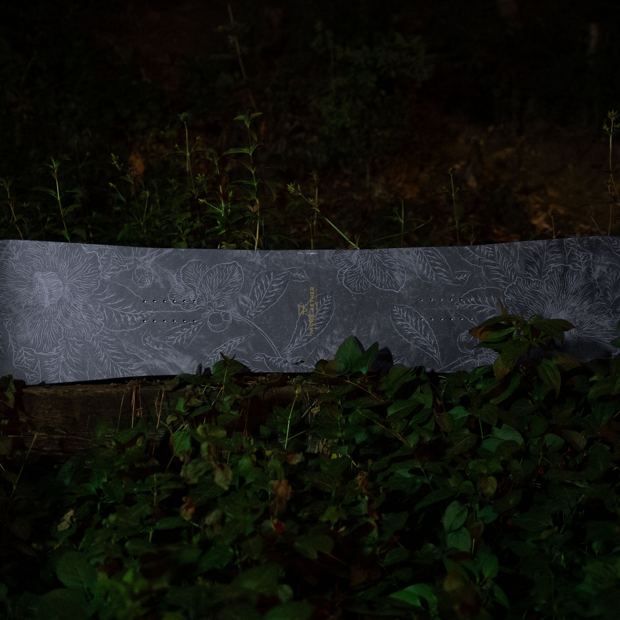 niche aether snowboard franklinia graphic detail