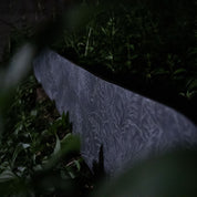 niche aether snowboard franklinia graphic detail