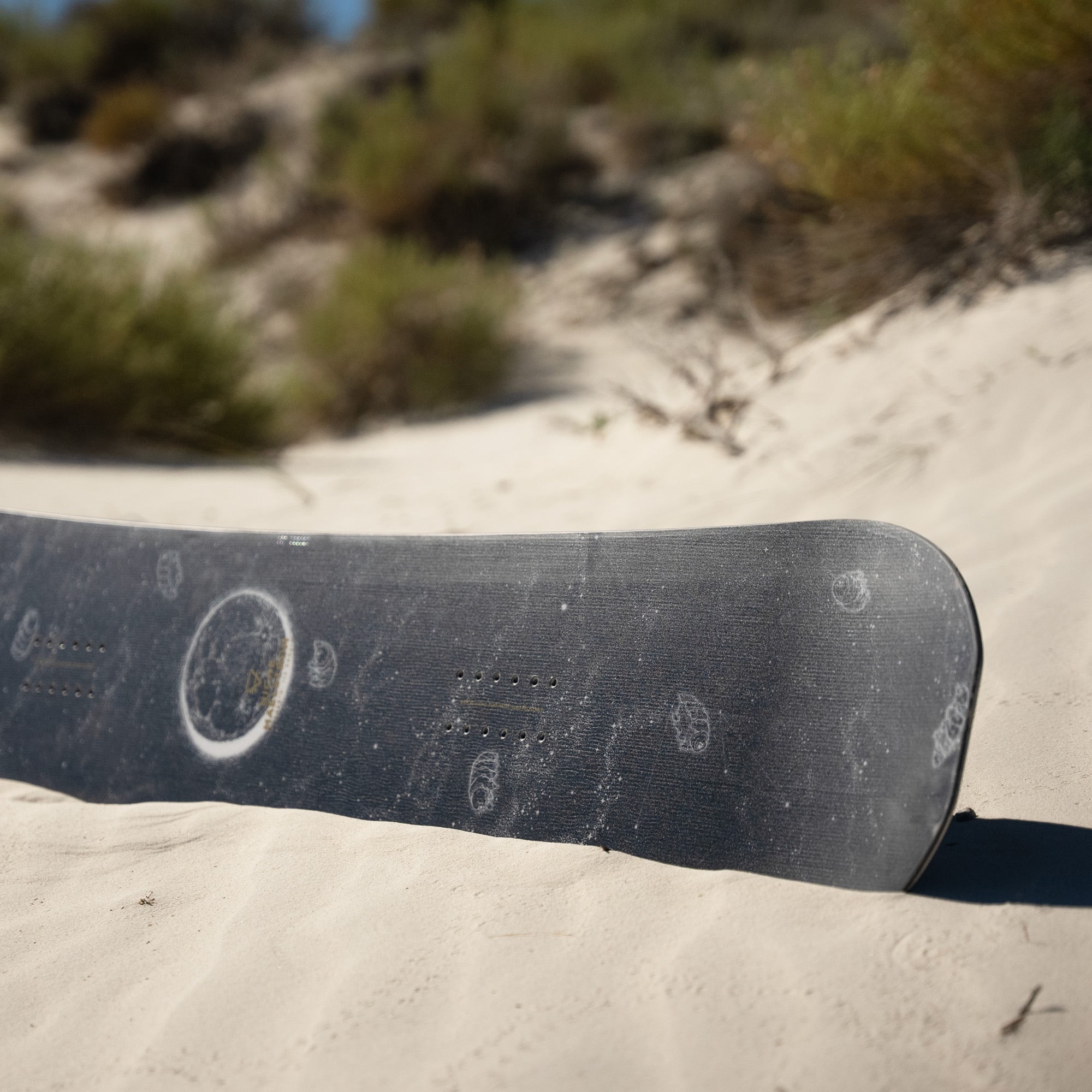 niche maelstrom snowboard tardigrades graphic detail