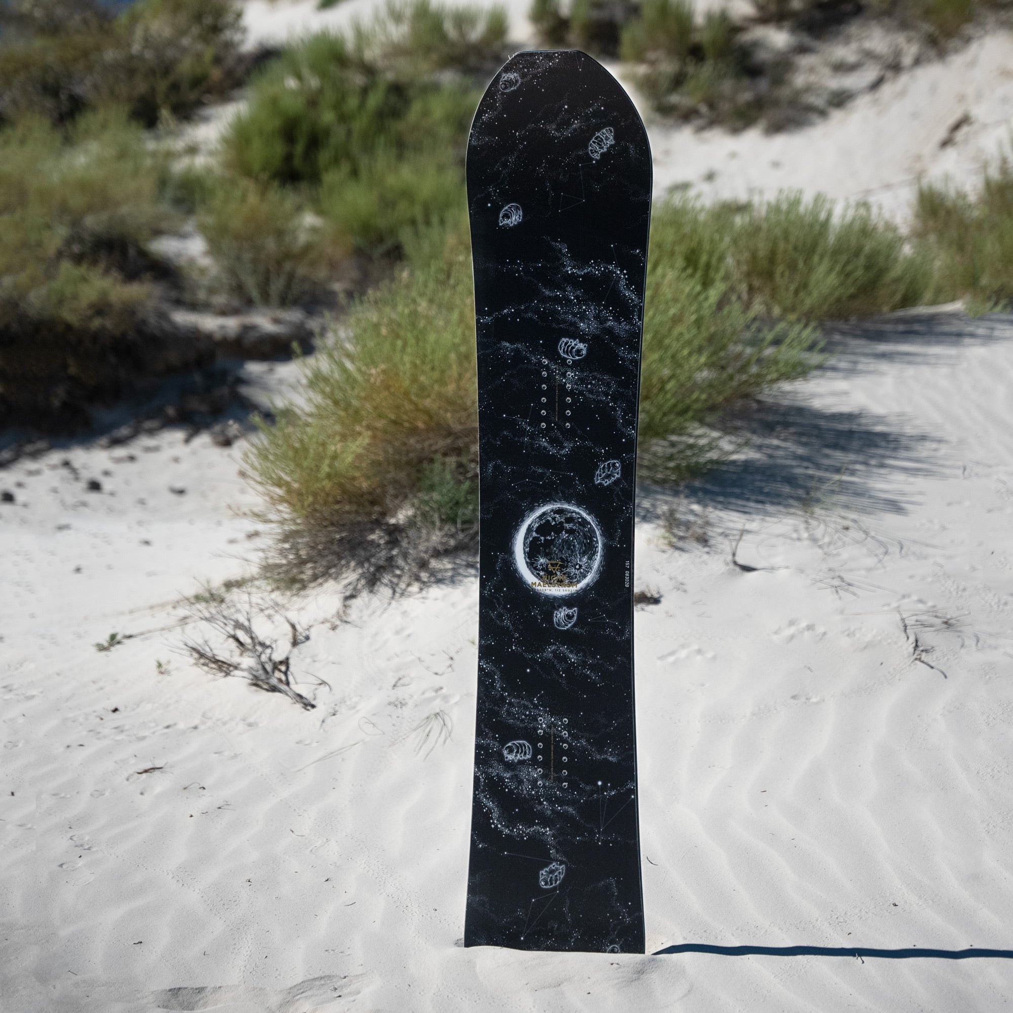 niche maelstrom snowboard tardigrades graphic detail