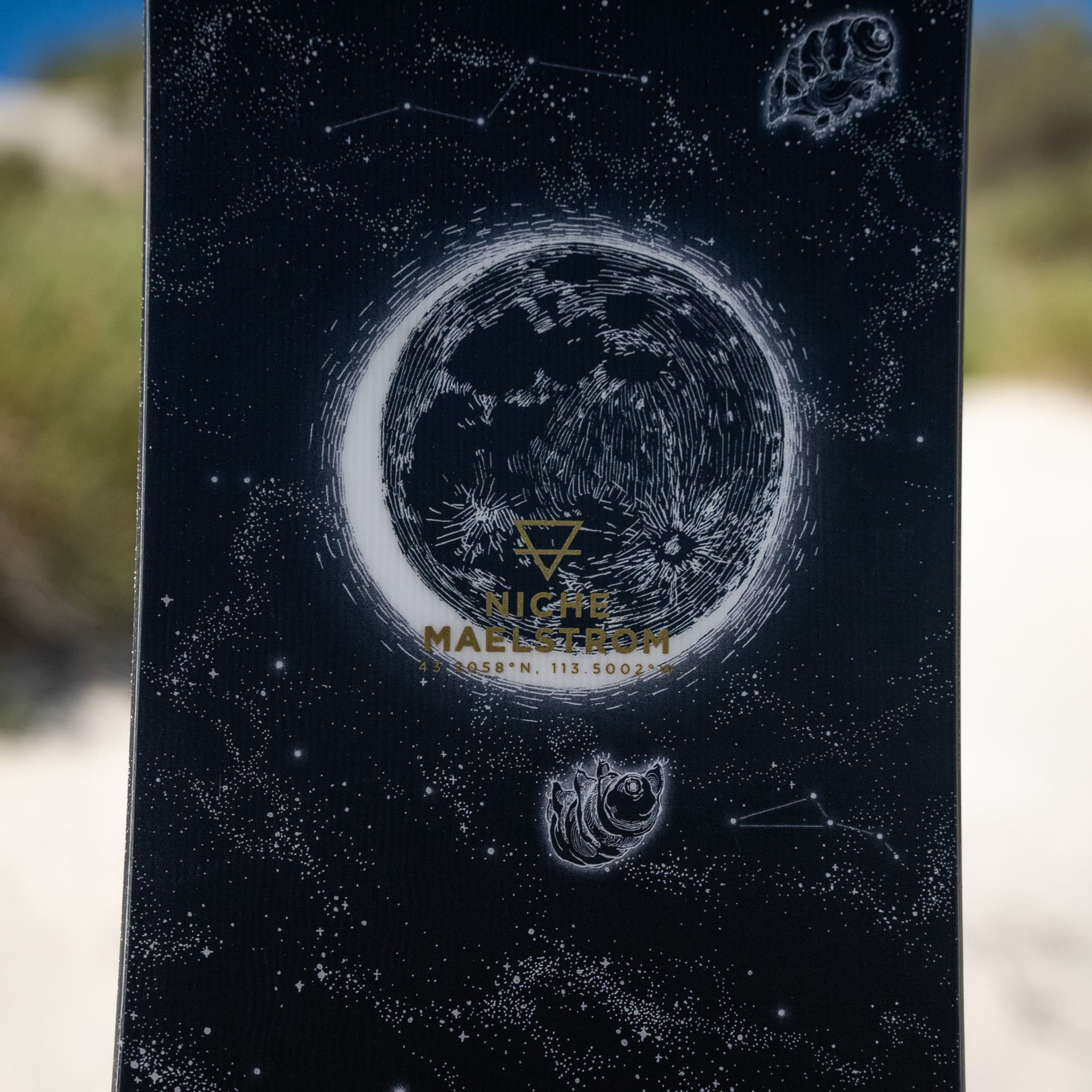 niche maelstrom snowboard tardigrades graphic detail