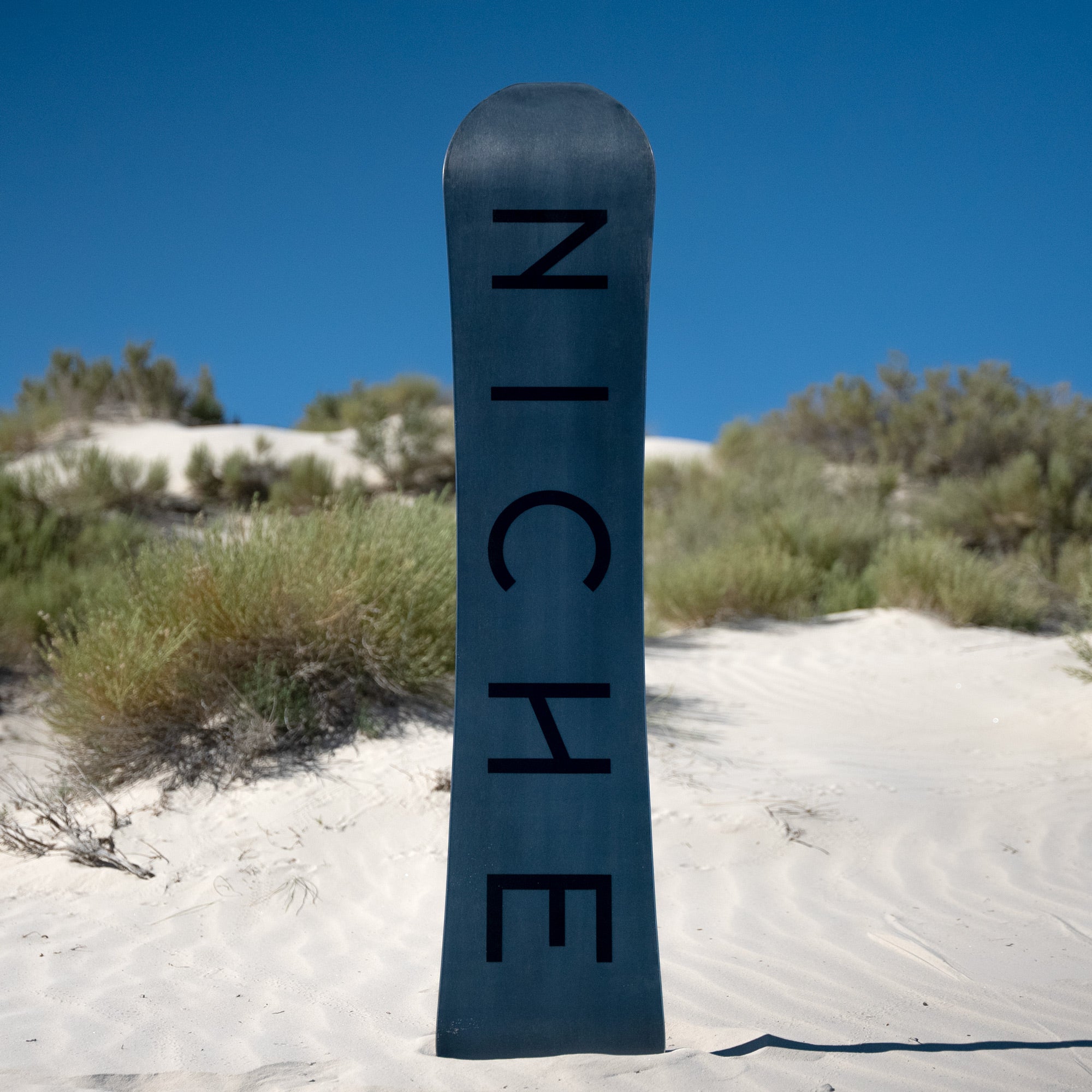 niche maelstrom snowboard tardigrades base