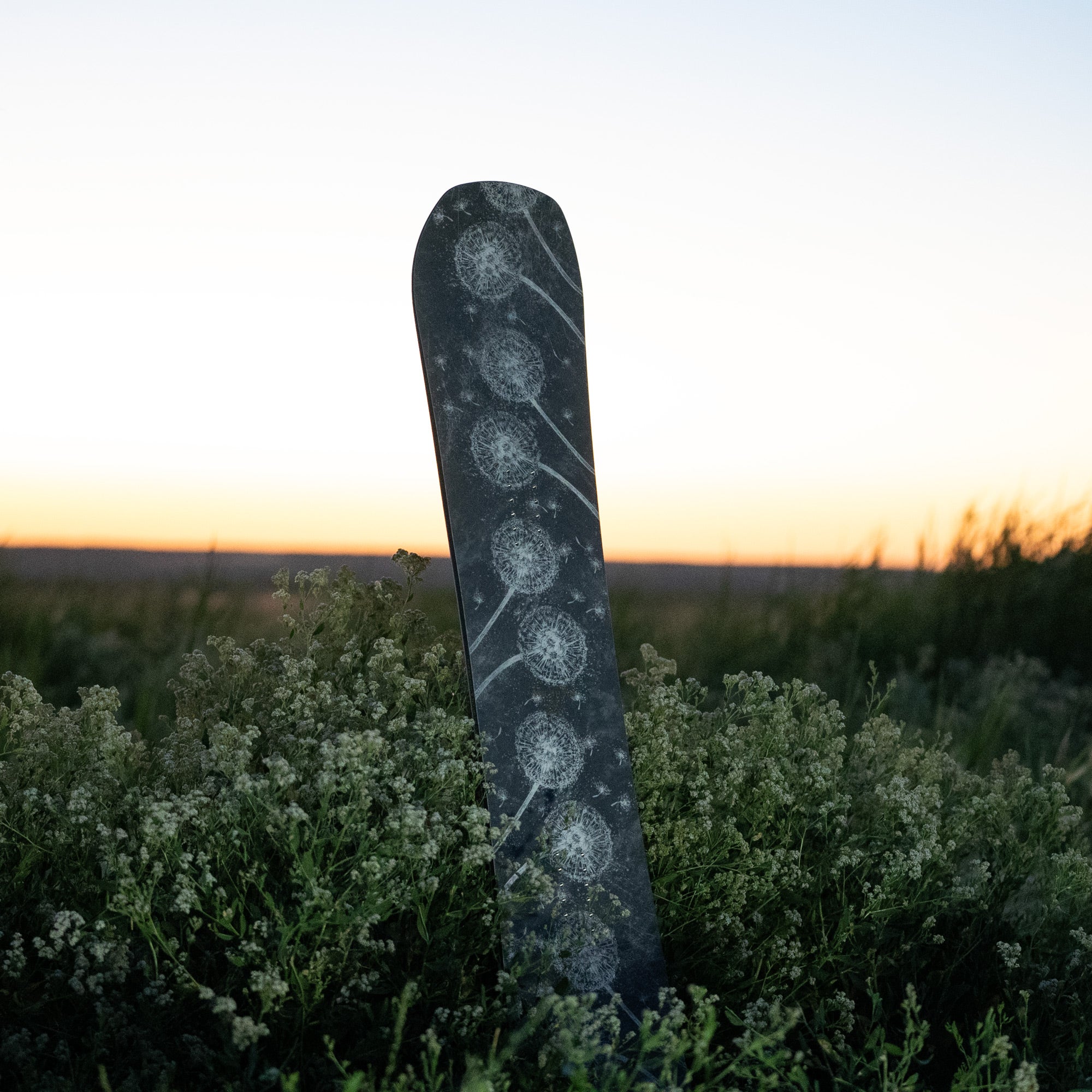 niche minx dandelion detail