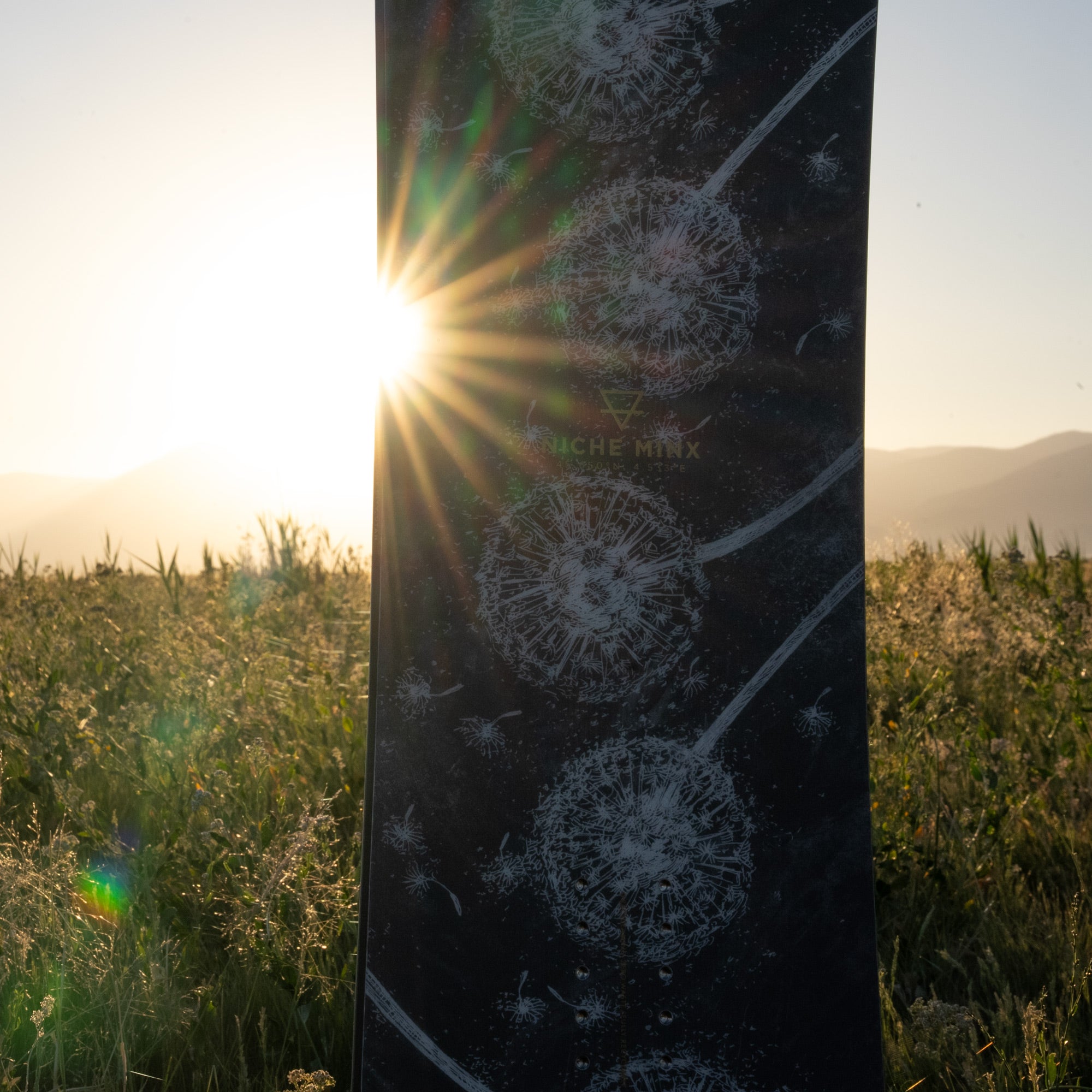 niche minx dandelion detail