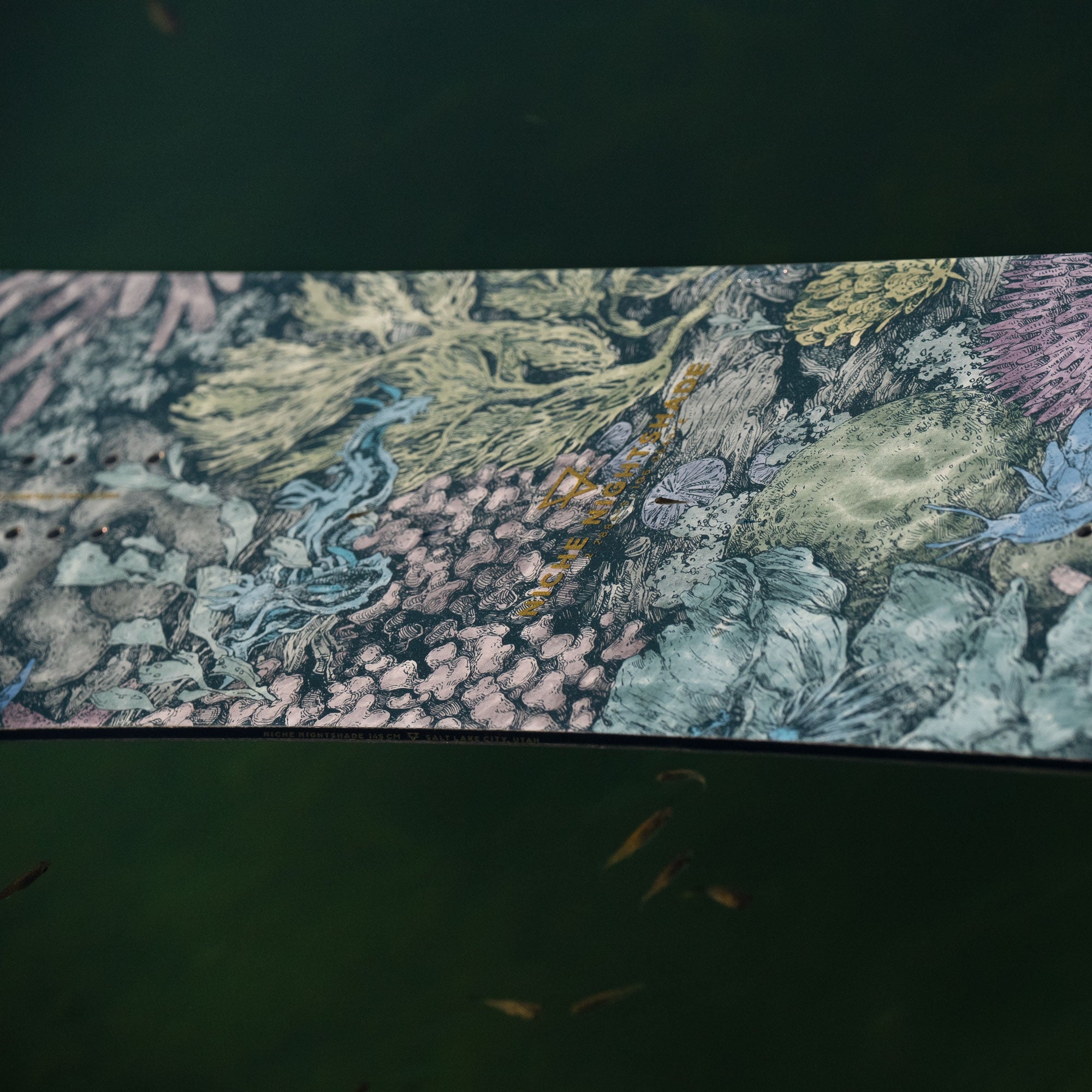 niche nightshade snowboard nudibranch graphic detail