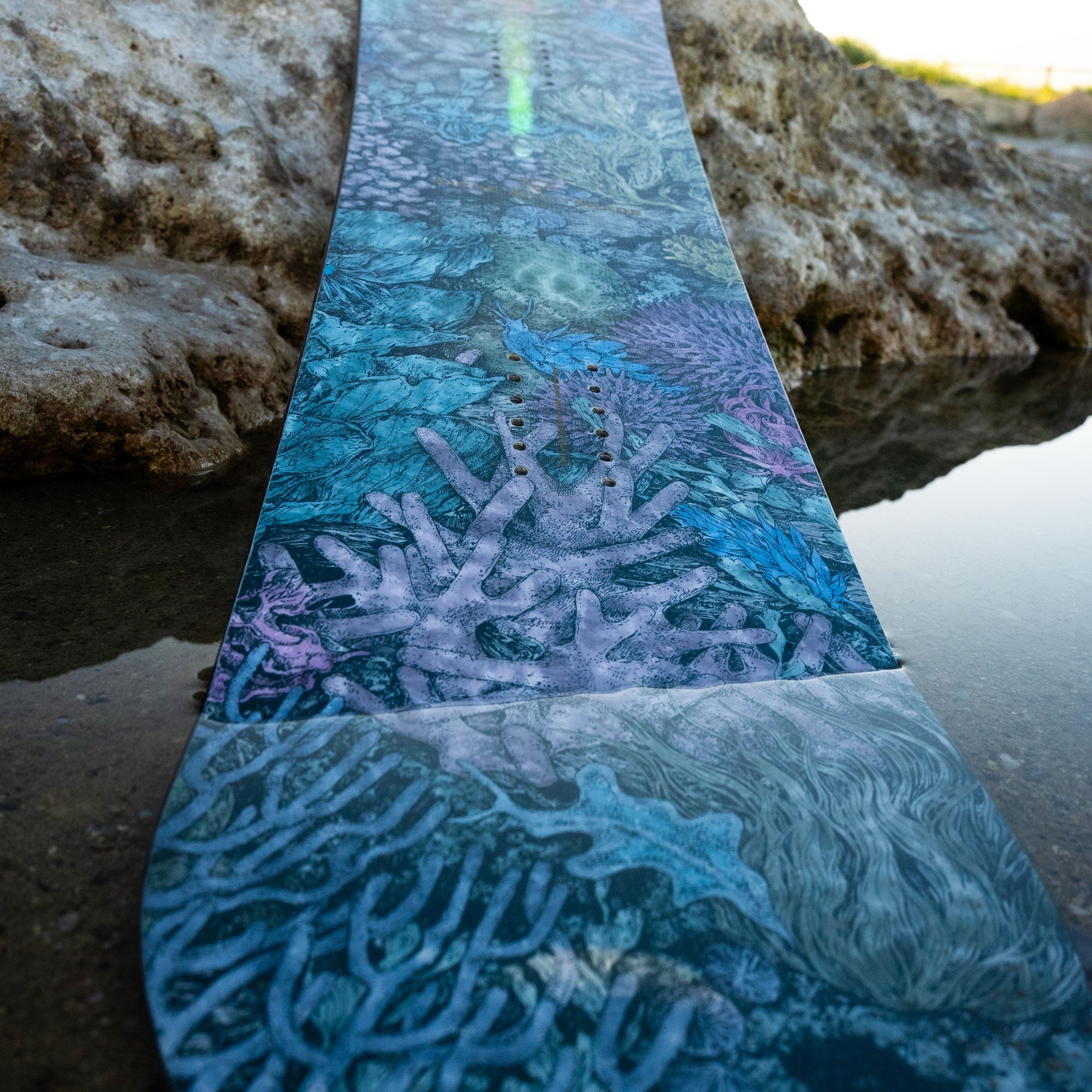 niche nightshade snowboard nudibranch graphic detail
