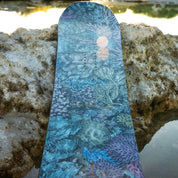 niche nightshade snowboard nudibranch graphic detail