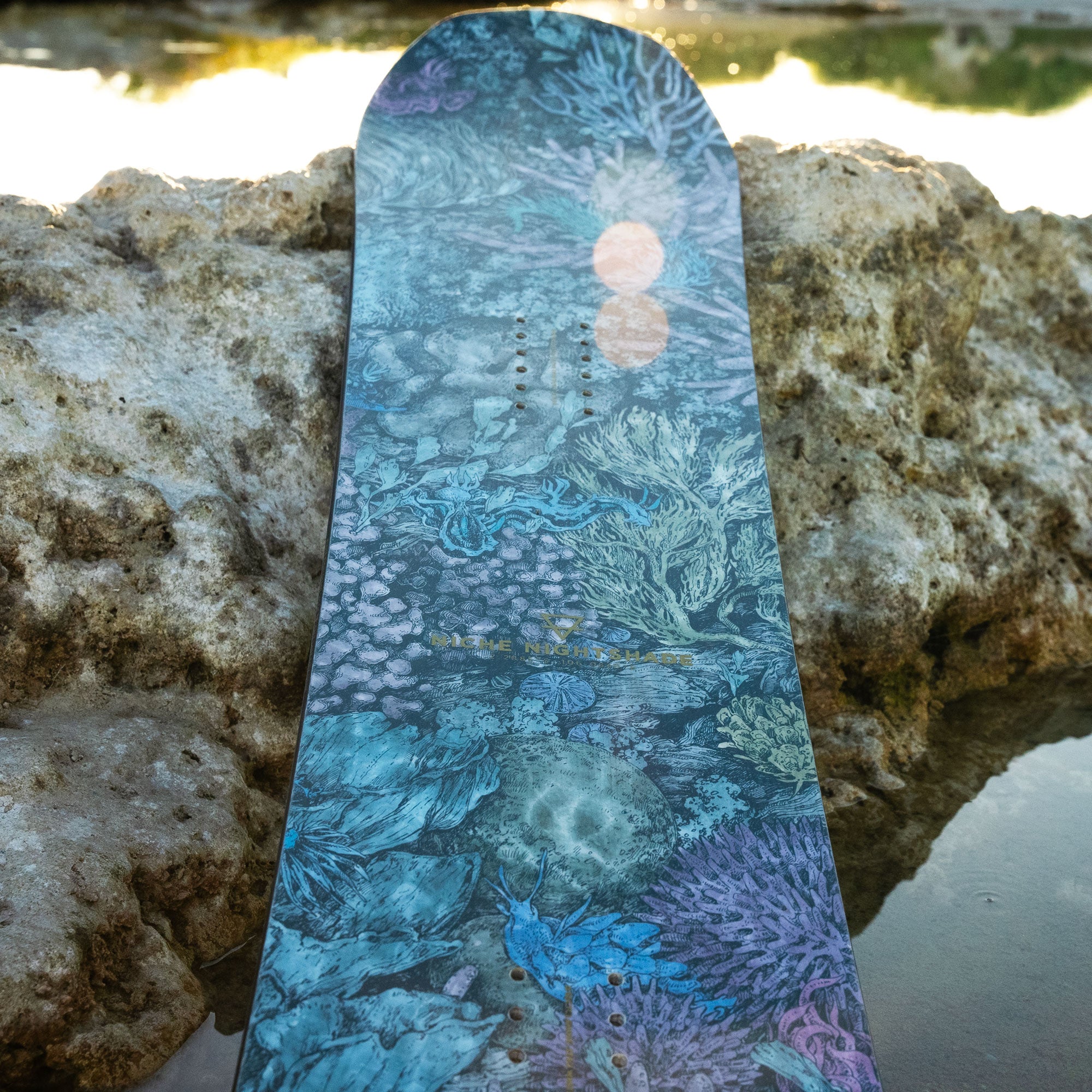 niche nightshade snowboard nudibranch graphic detail