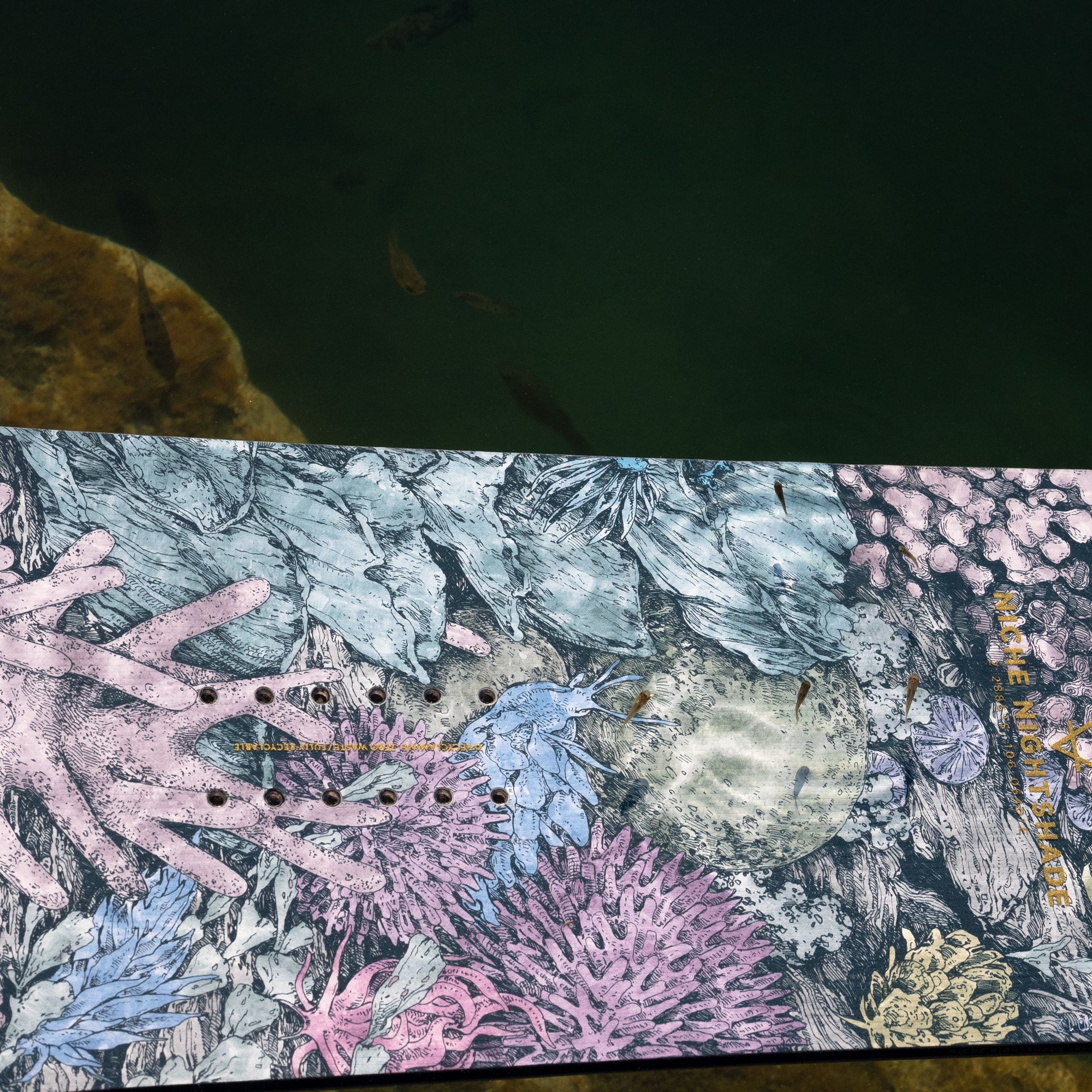 niche nightshade snowboard nudibranch graphic detail