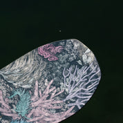 niche nightshade snowboard nudibranch graphic detail