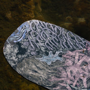 niche nightshade snowboard nudibranch graphic detail