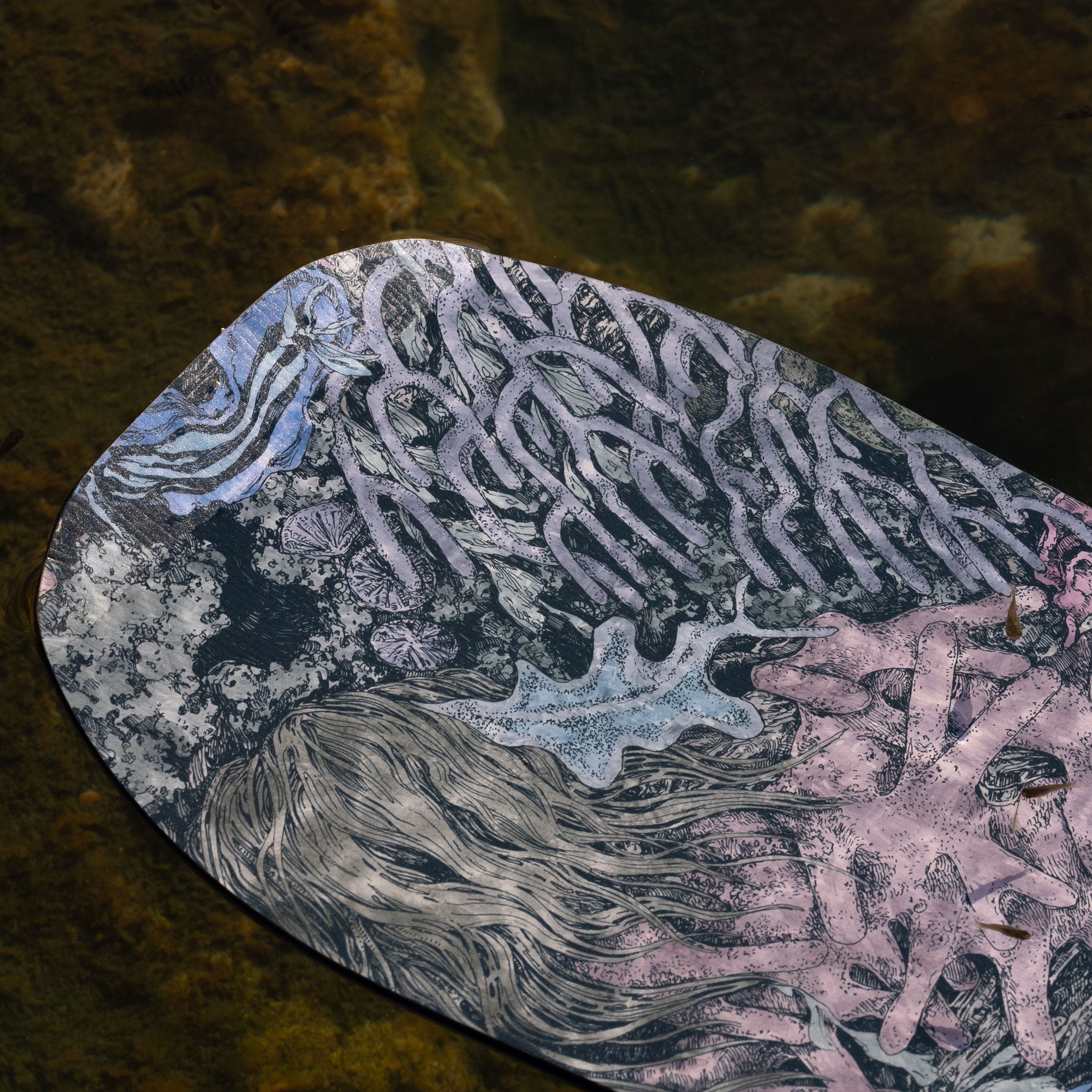 niche nightshade snowboard nudibranch graphic detail