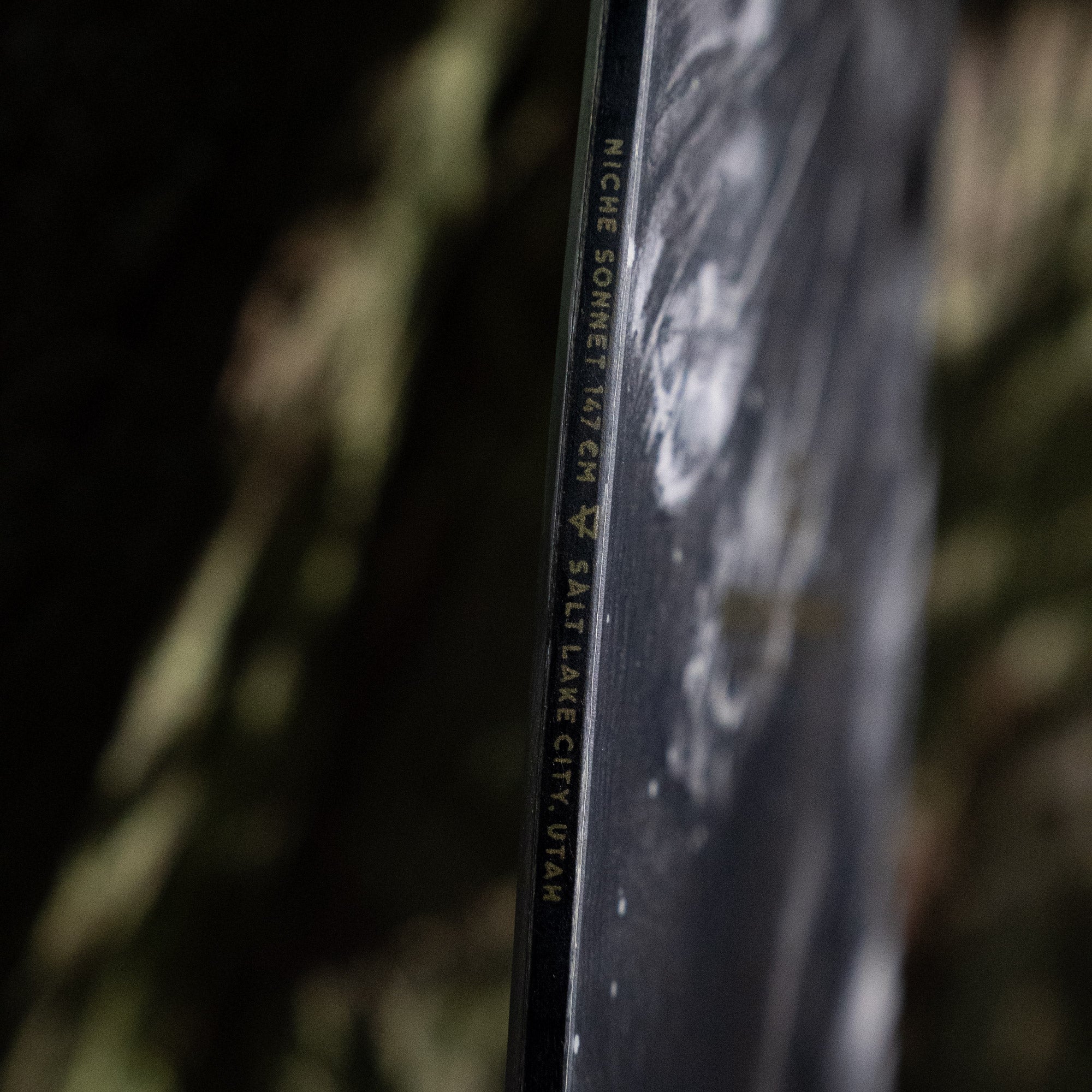 niche sonnet snowboard moths graphic detail