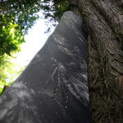 niche sonnet snowboard moths graphic detail