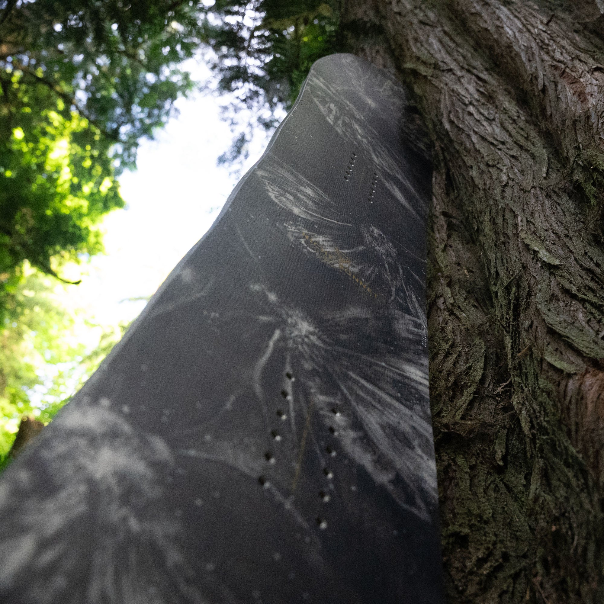 niche sonnet snowboard moths graphic detail