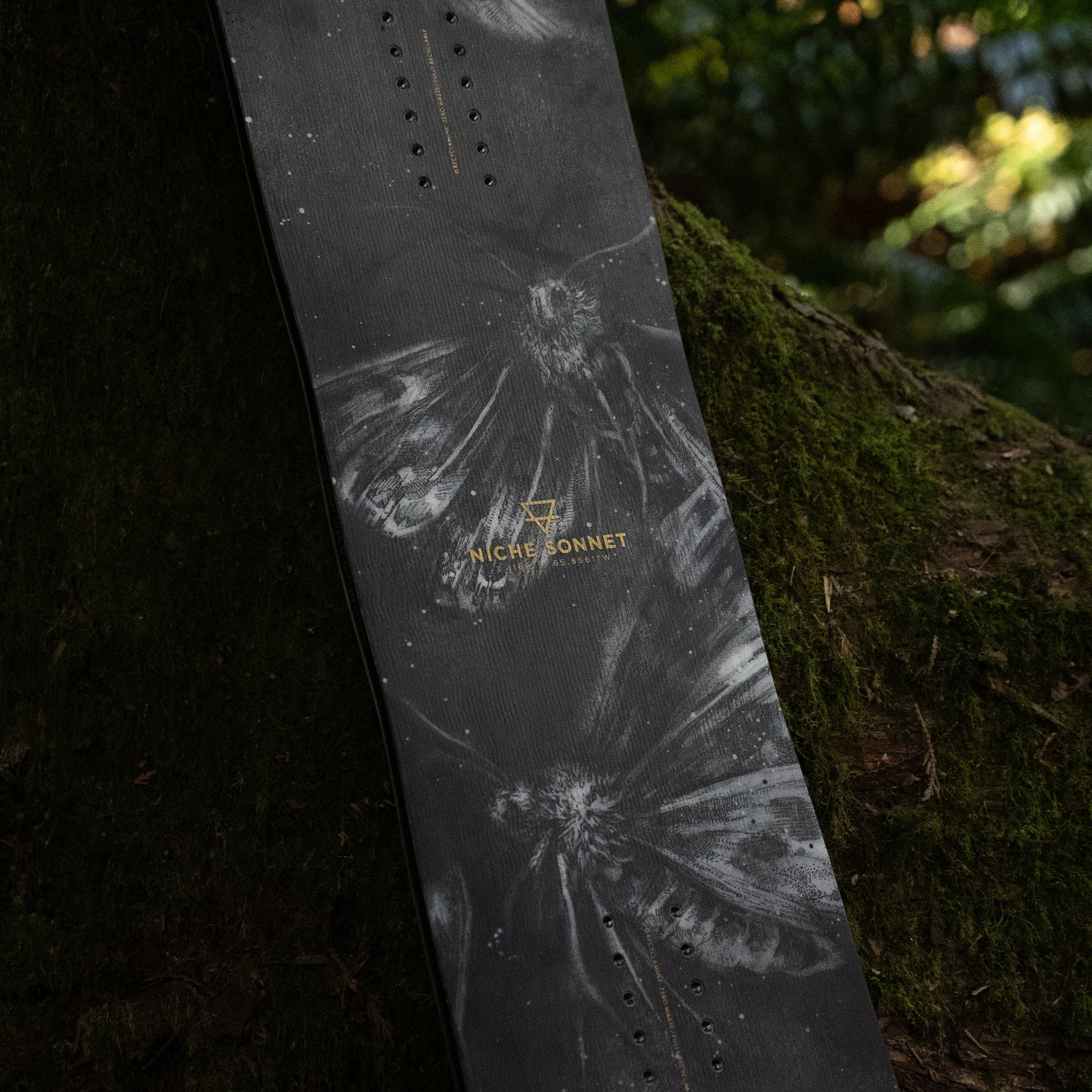 niche sonnet snowboard moths graphic detail