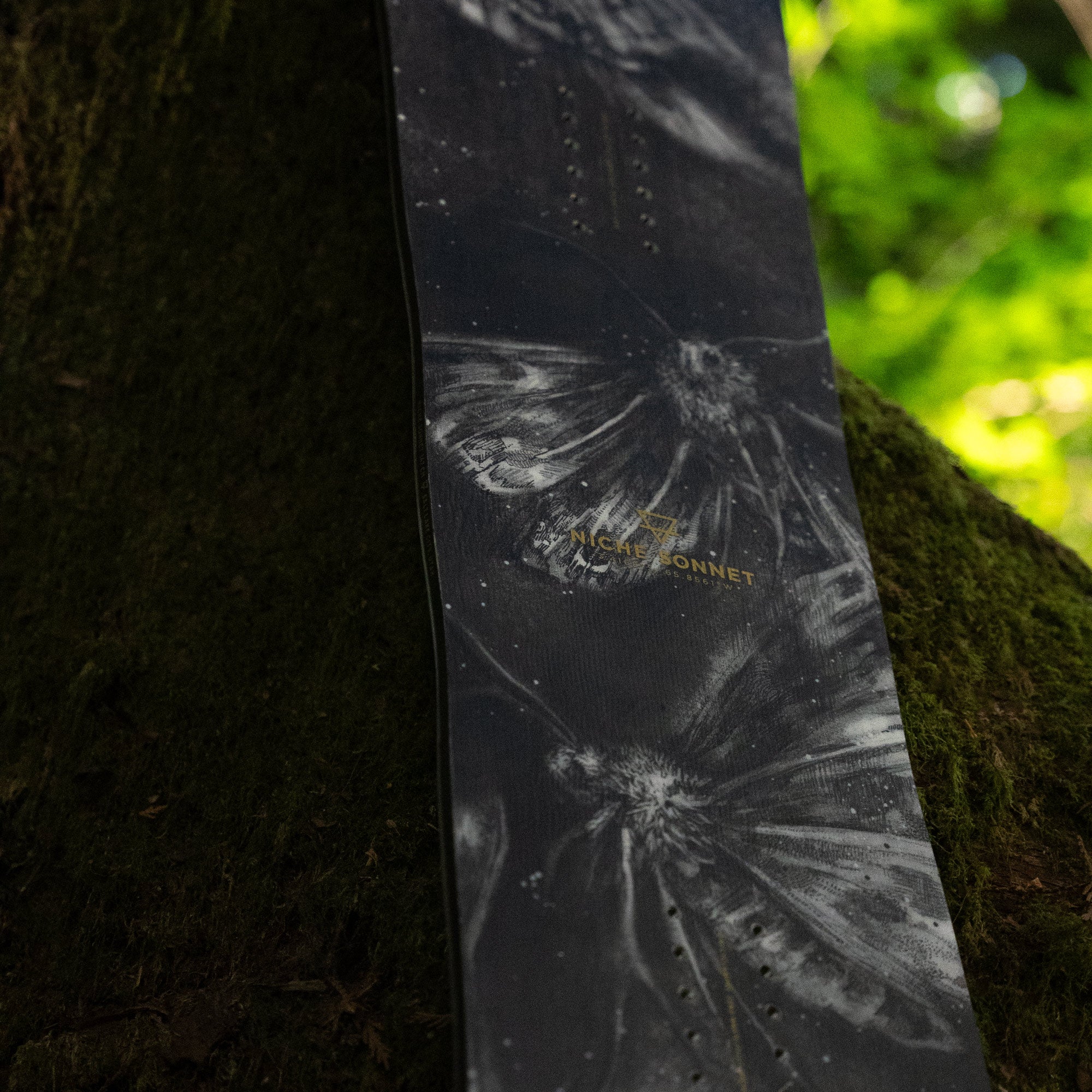 niche sonnet snowboard moths graphic detail