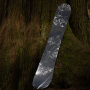 niche sonnet snowboard moths graphic detail