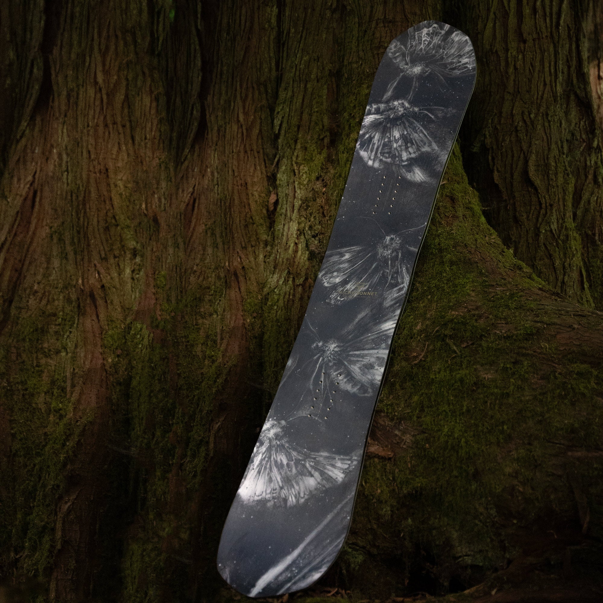 niche sonnet snowboard moths graphic detail