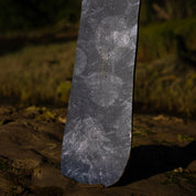 niche story snowboard crabs graphic detail