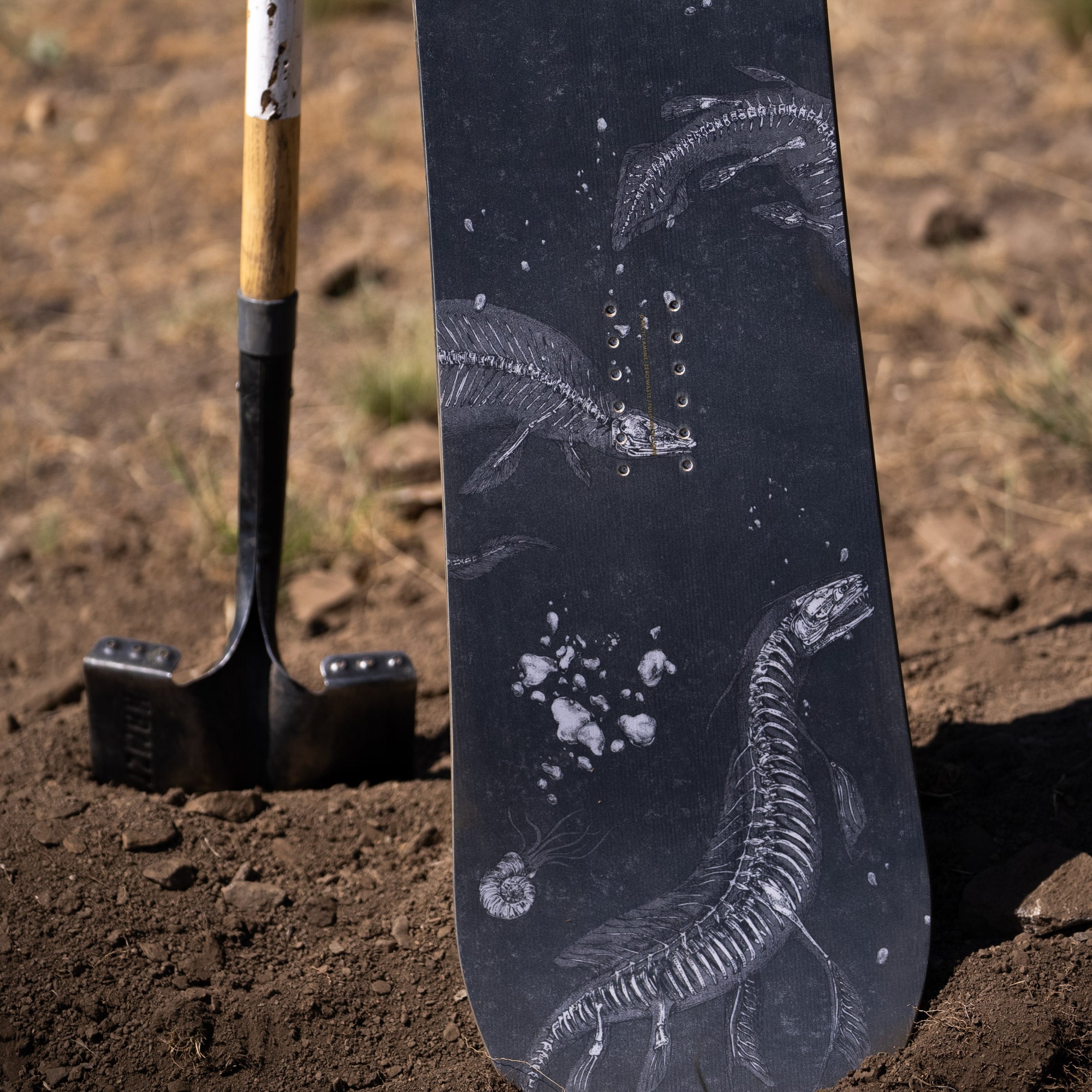 niche wraith snowboard fossil graphic detail