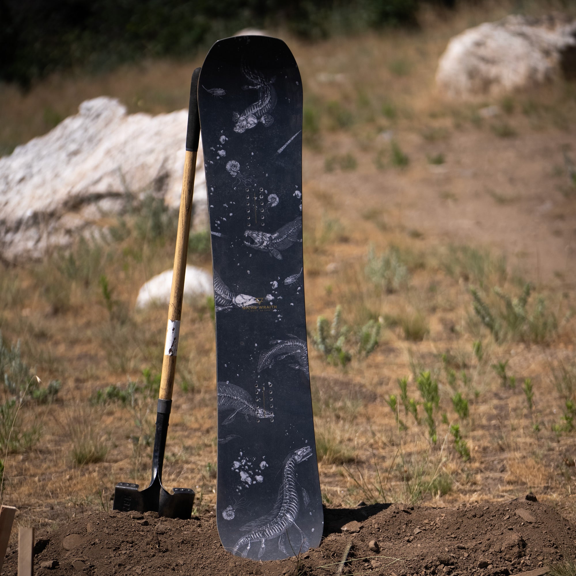 niche wraith snowboard fossil graphic detail