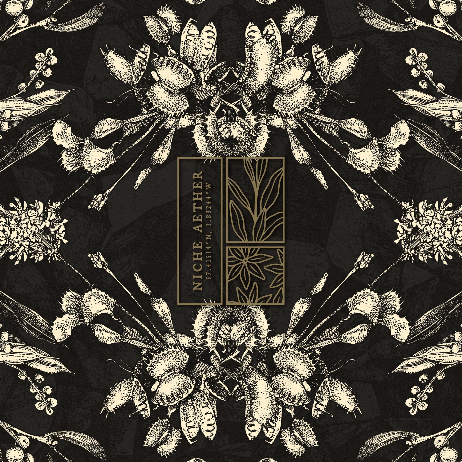 niche aether snowboard witchcraft