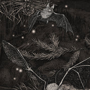 niche crux snowboard fantasy graphic detail