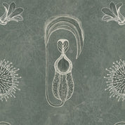 2425 minx snowboard graphic detail