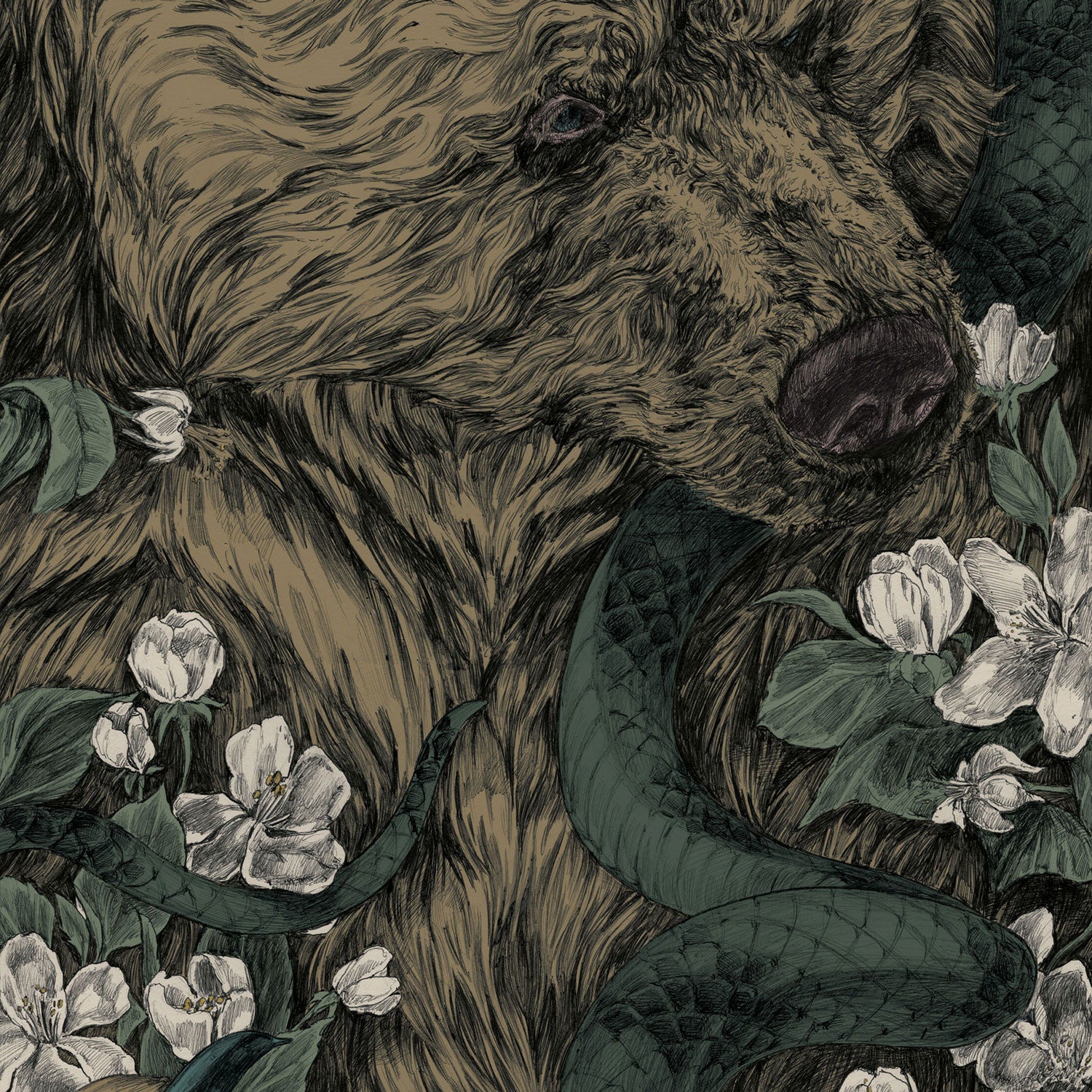 niche story snowboard bear