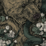 niche story snowboard bear