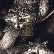 niche wraith snowboard raccoon graphic detail