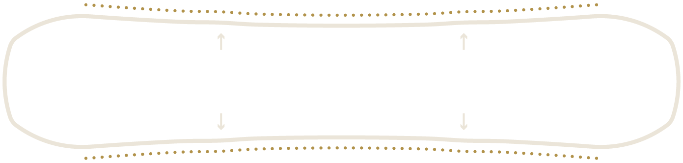 niche snowboard 2x traction bumps diagram