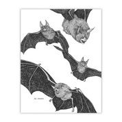 bats art print