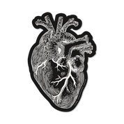 anatomical heart sticker