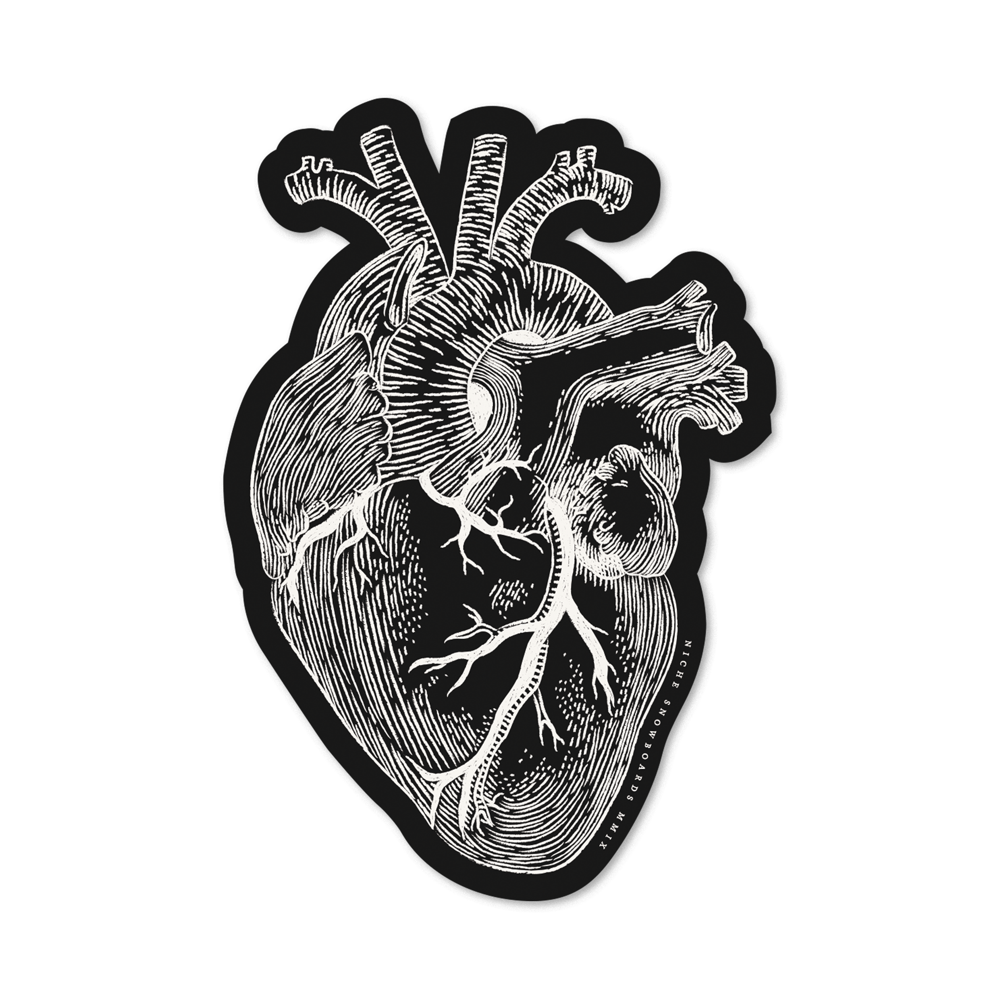 anatomical heart sticker