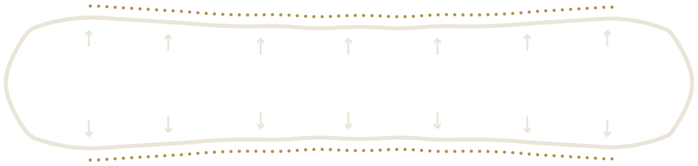 niche snowboard magnetraction diagram