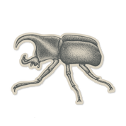 rhino beetle sticker