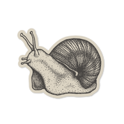 snail sticker
