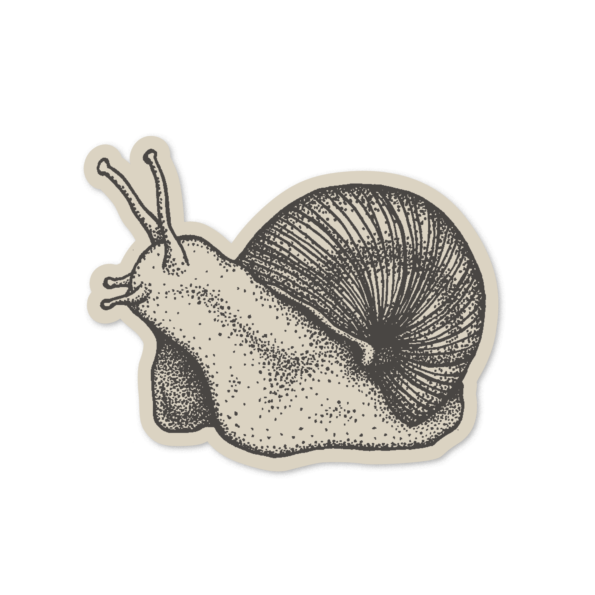 snail sticker