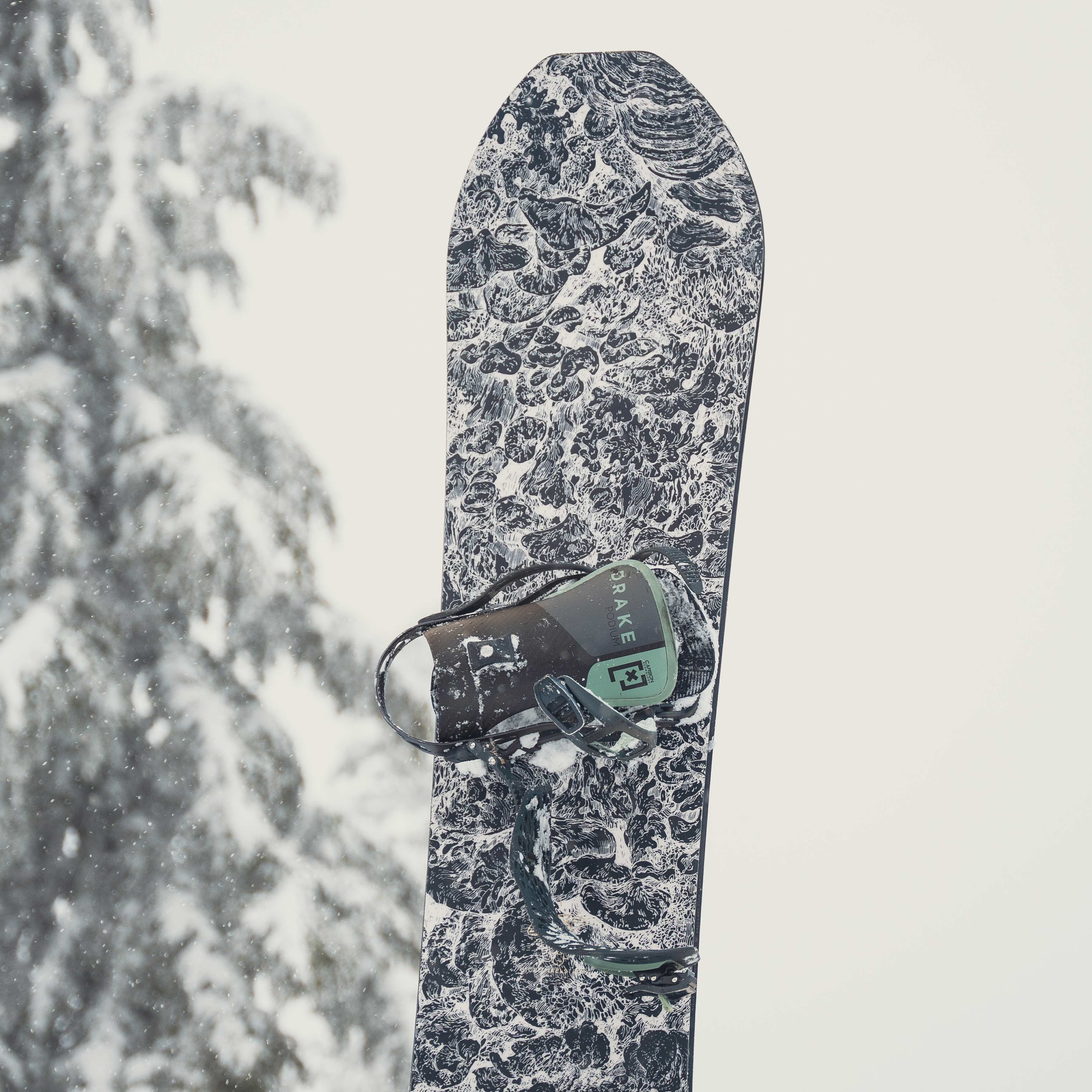 Maelstrom Snowboard in Fungi | Niche Snowboards